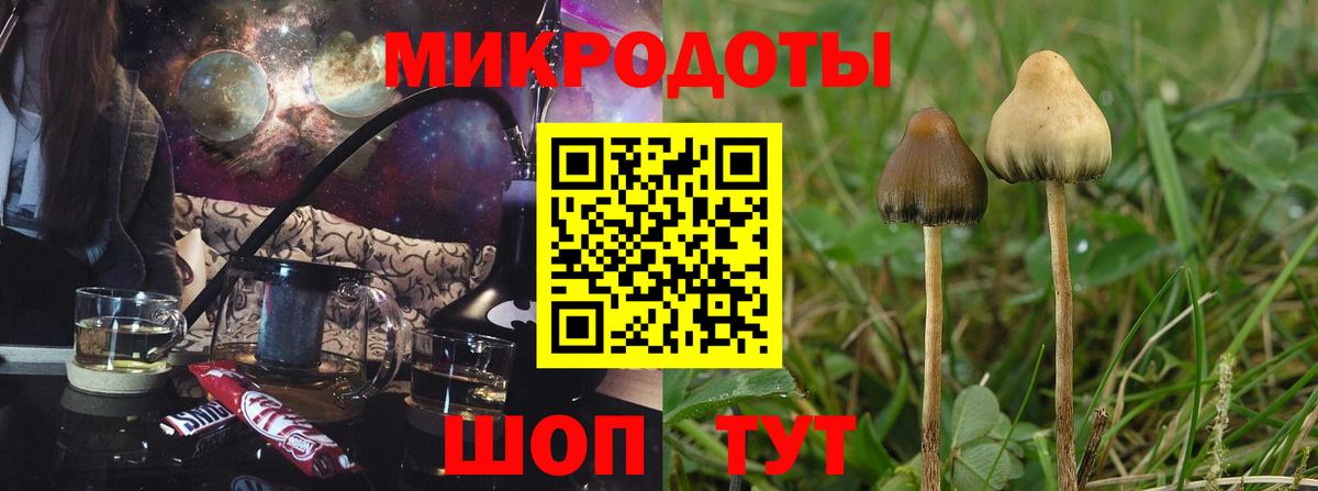 Галлюциногенные грибы ЛСД  Вход с VPN  Галлюциногенные грибы Psilocybine cubensis  Мелеуз 